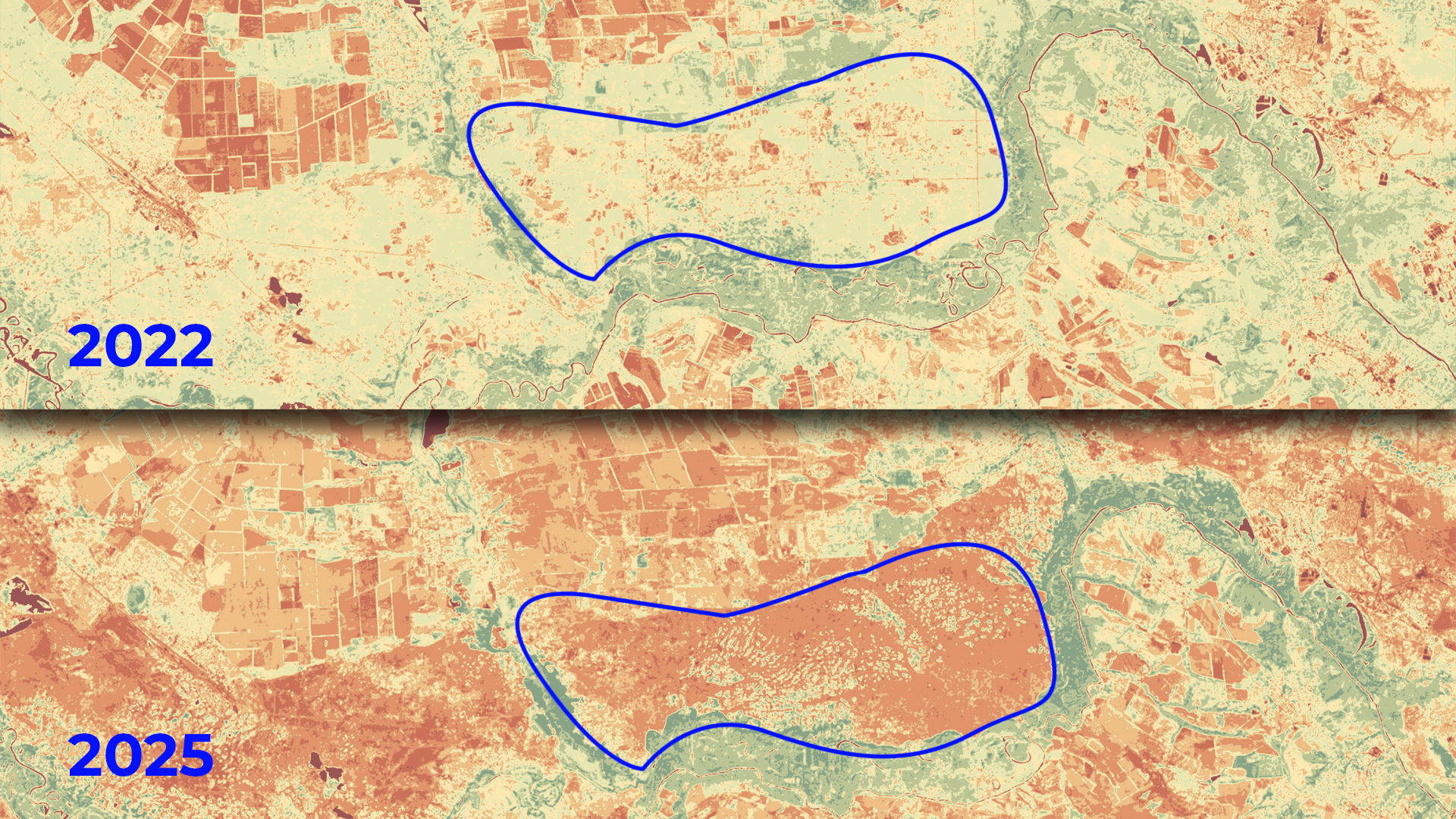 Синім виділено орієнтовну територію Кремінських лісів. Чим більше помаранчевого кольору — тим більше спалених та знищених ділянок. У 2022 році помаранчевого кольору майже немає, у 2025 році — це більшість ділянки лісу.