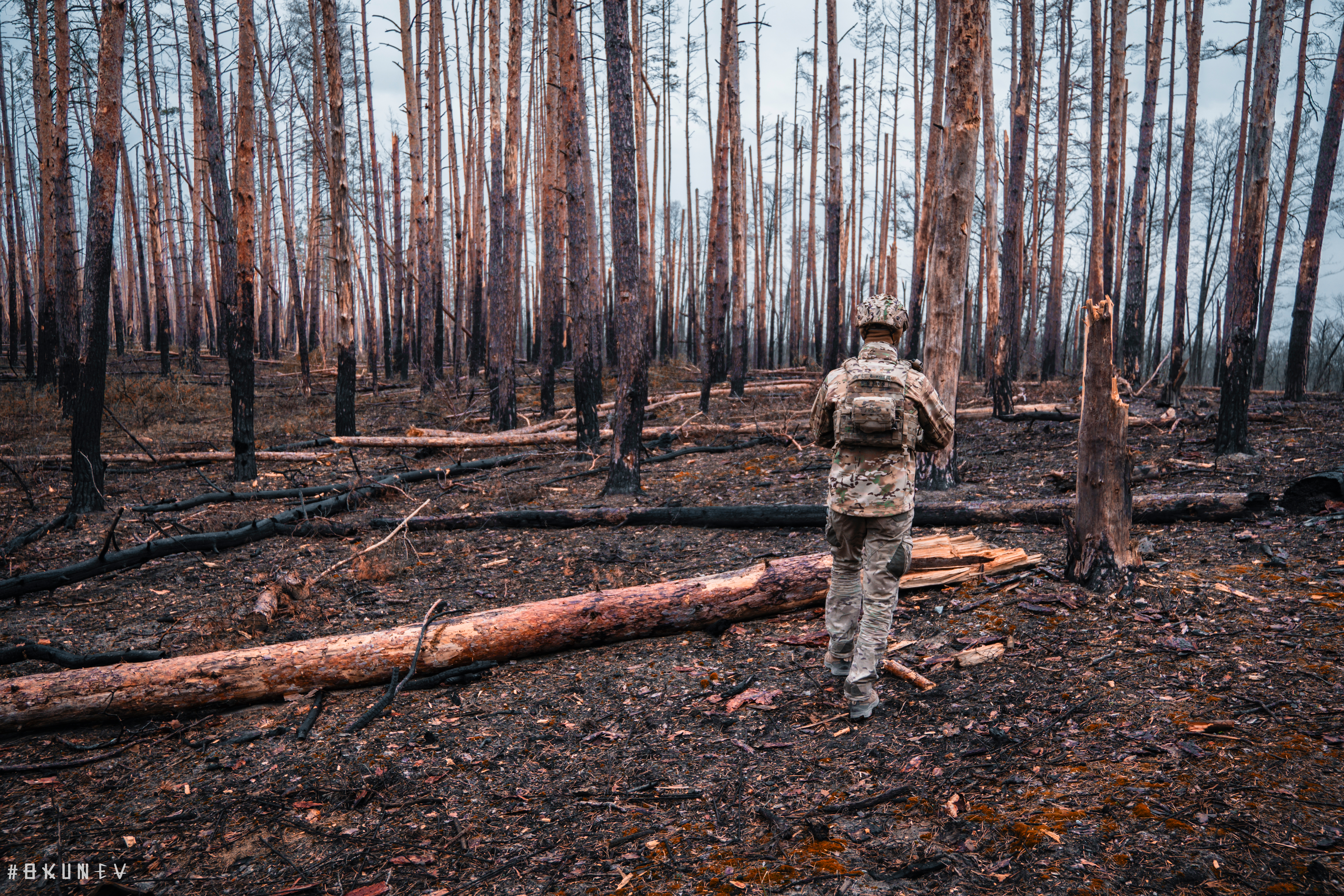 Серебрянські ліси @ Cергій Окунєв