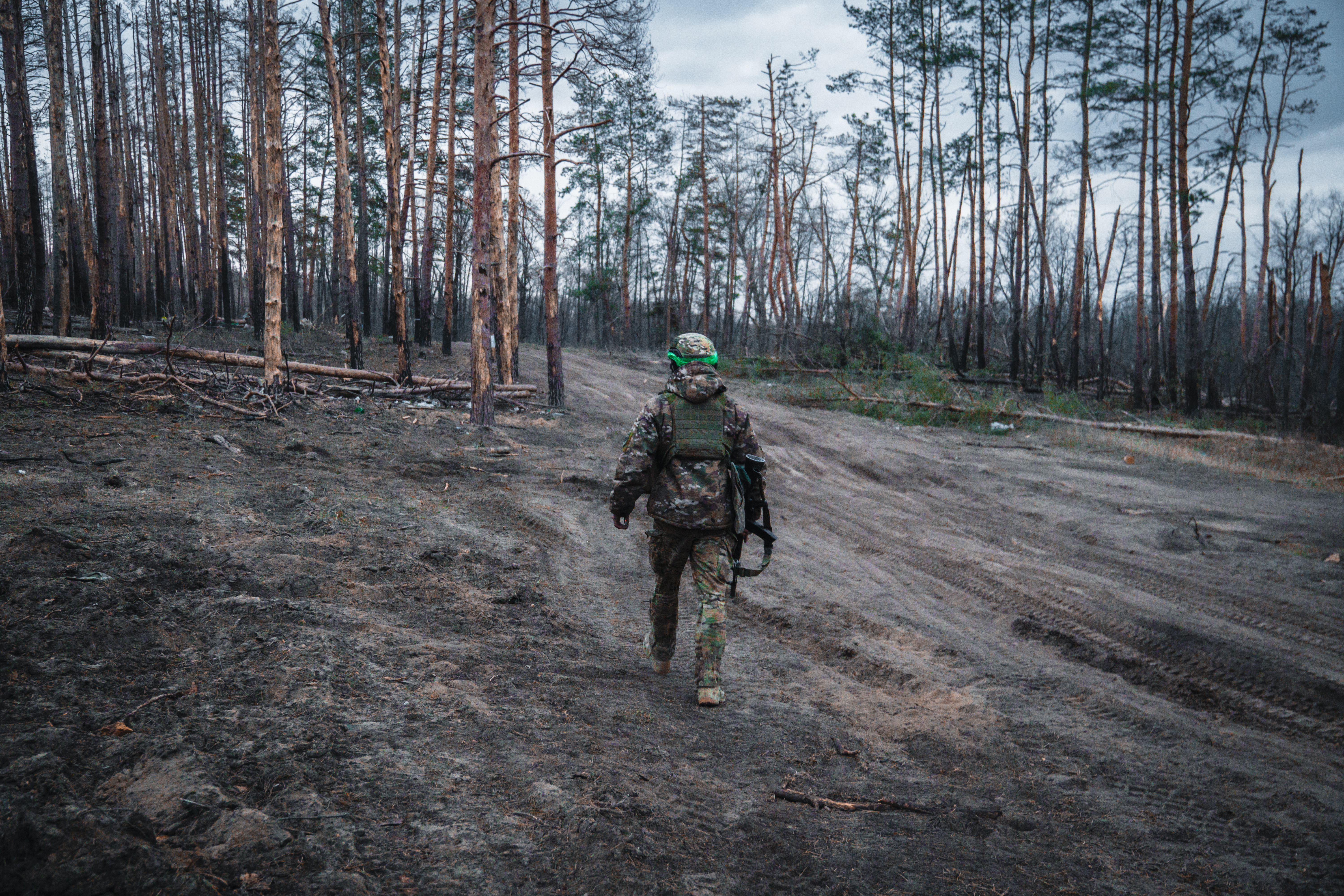 Кремінські ліси @ Cергій Окунєв
