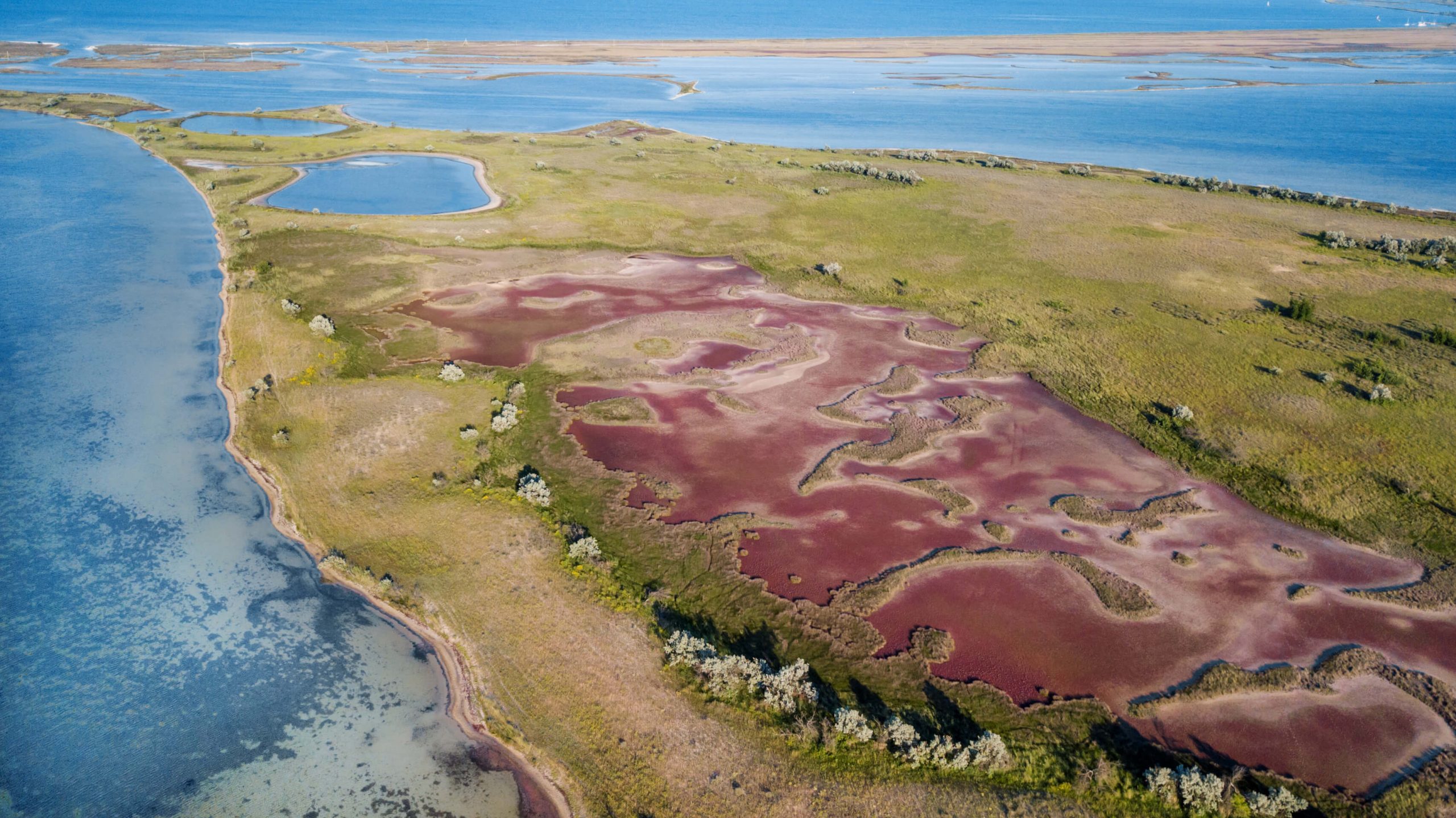 Білобережжя Святослава. Джерело фото: Вікторія Роговенко.